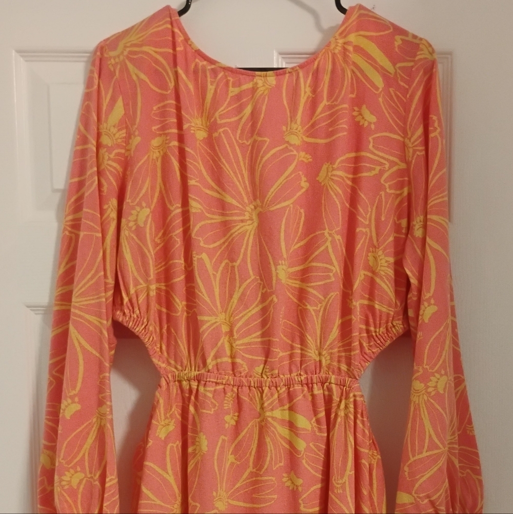 Balloon Long Sleeve Mini A-Line Dress - Pink Floral XXL - Picture 3 of 11
